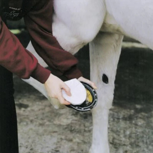 3M Animalintex Hoof Shaped Poultice Pad for Horses Ready to Use