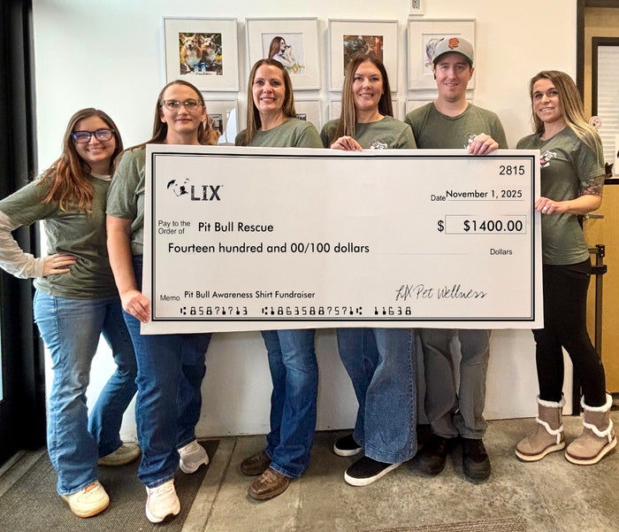 Pit bull rescue donation presentation from 2025 awareness campaign