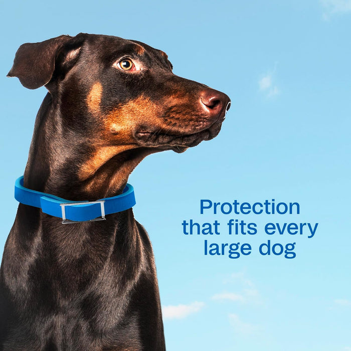 Adams Plus Flea Tick Collar Dogs 7-Month Large Dogs Puppies Kills Fleas Ticks 2-Pack