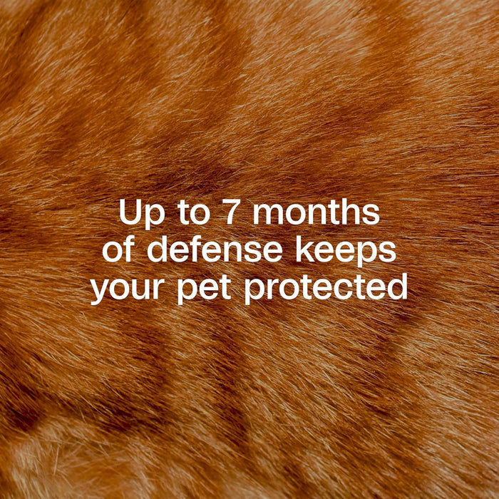 Adams Plus Flea & Tick Collar for Cats Water-Resistant Up to 7 Months Protection 2PCK
