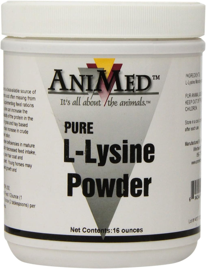 AniMed Pure L-Lysine Powder Horse Feed Supplement 16 oz.