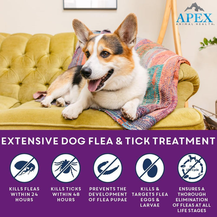 Apex Plus Flea & Tick Treatment for Large Dogs 45-88 lbs 3-Month Supply