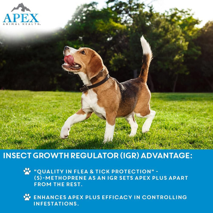 Apex Plus Flea & Tick Treatment for Medium Dogs 23-44 lbs 3-Month Supply