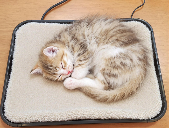 API Extra Small Plastic Heated Pet Mat for Pets 9"x 12" Thermostat Controlled, Weather-Resistant, Anti-Chew Cord