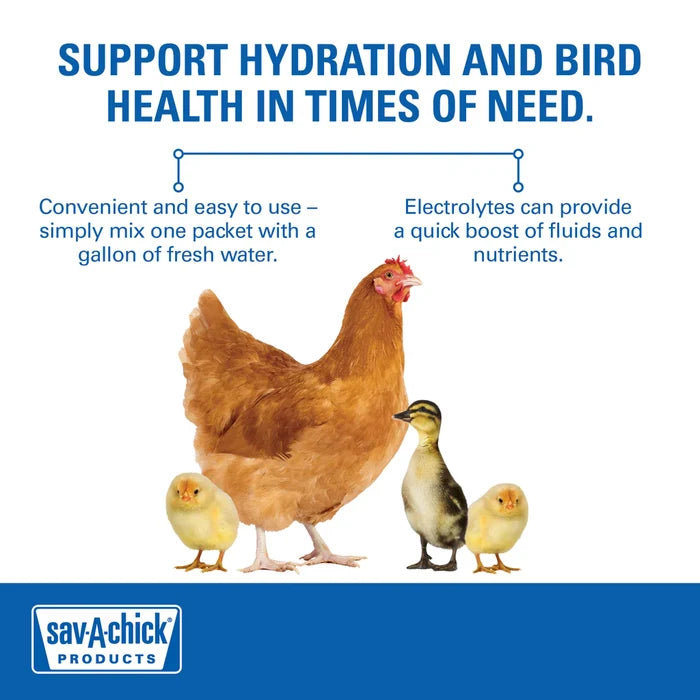Baby Chick Health Kit – Sav-A-Chick Probiotics + Mason Jar Feeder & Waterer Bundle