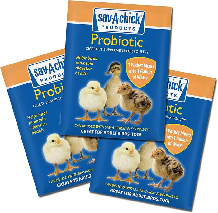 Baby Chick Health Kit – Sav-A-Chick Probiotics + Mason Jar Feeder & Waterer Bundle
