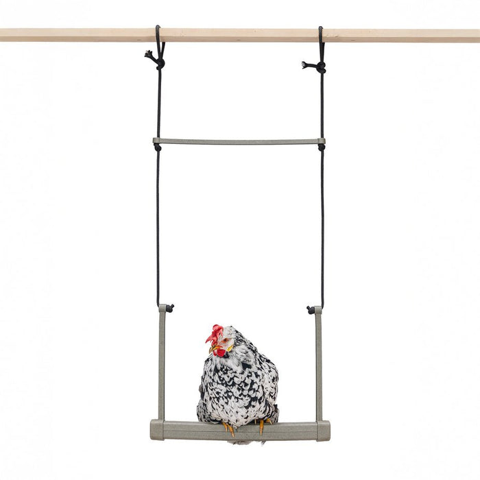 Backyard Chicken Swing – Durable, Recycled Material for Flock Activity