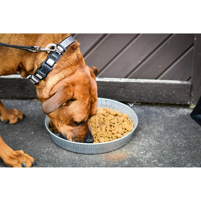 Bergan Galvanized Pet Pan 3 Quart Silver Durable Low Profile Dog Dish