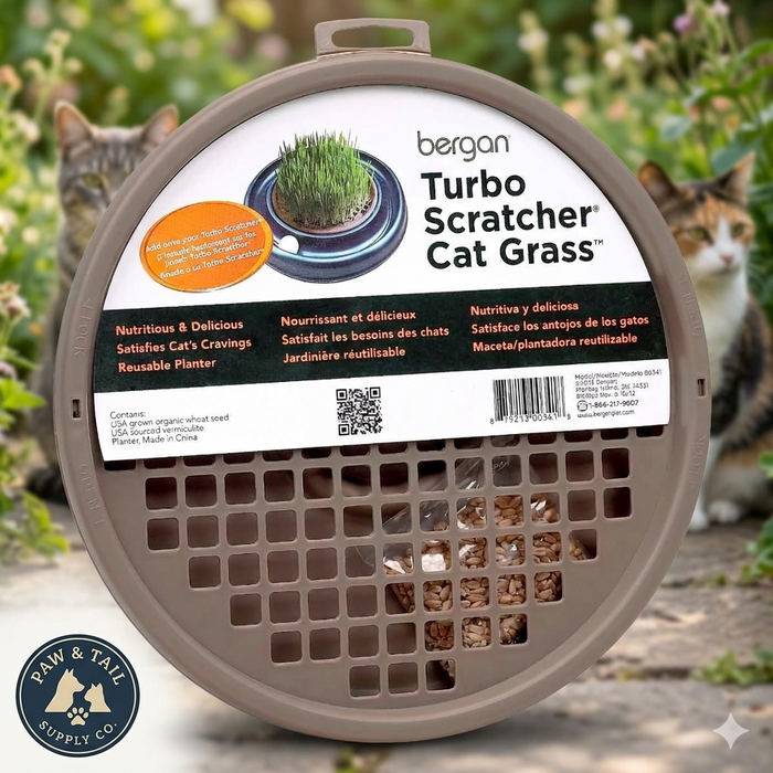 Bergan Turbo Scratcher Cat Grass Interactive Fun Reusable Planter