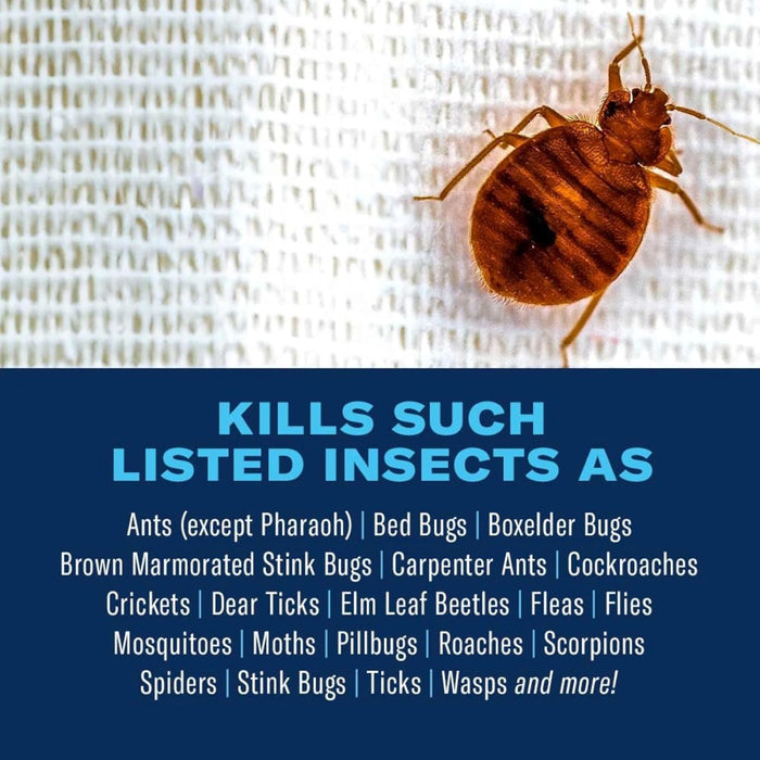BioAdvanced Home Pest Bed Bug & Flea Continuous Spray for Home 15.7 oz