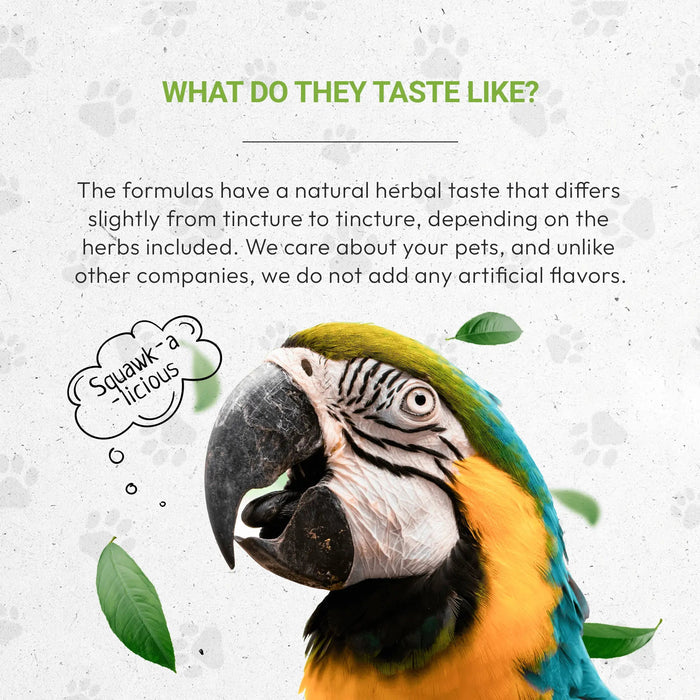Bird's Anxiety - Healthy Emotional Balance Support in Birds