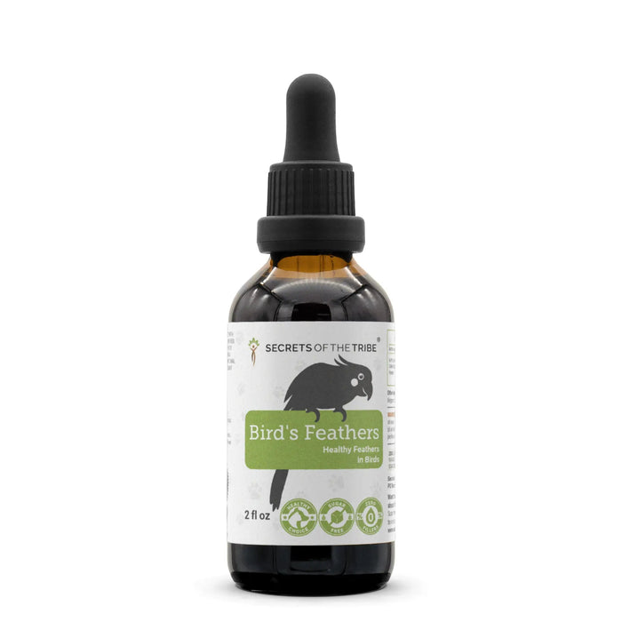 Bird's Feathers - Healthy Feathers Support in Birds