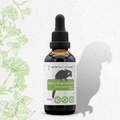 Bird's Respiratory - Healthy Respiratory System Support in Birds