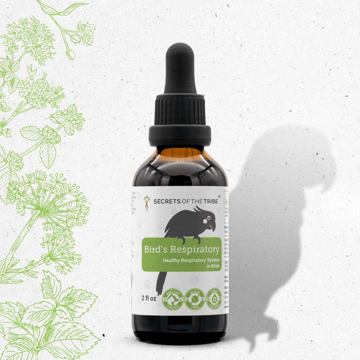 Bird's Respiratory - Healthy Respiratory System Support in Birds