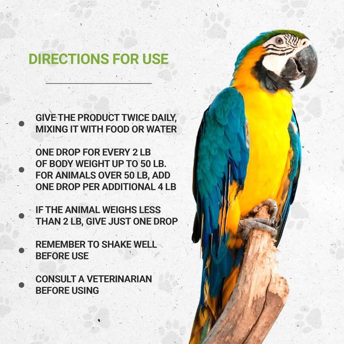 Bird's Respiratory - Healthy Respiratory System Support in Birds
