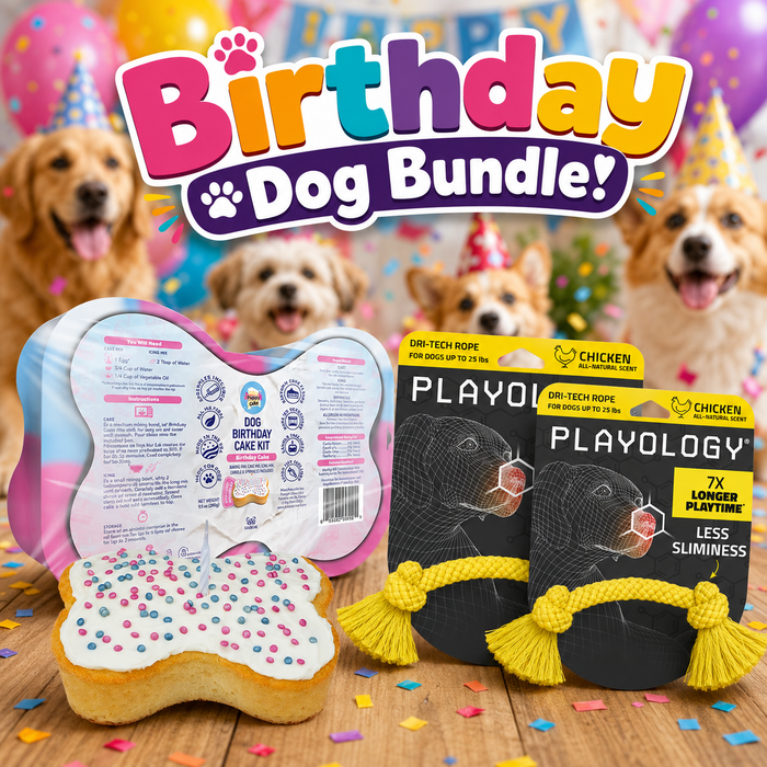 Birthday Cake Celebration Kit & 2 Playology Small Chicken Scent Rope Toys Dog Bundle
