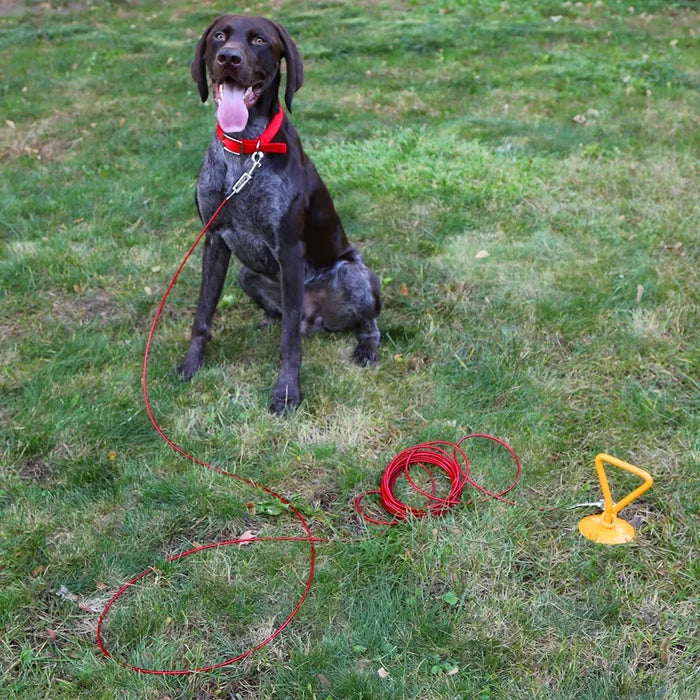 Boss Pet Tie-Out Cable for Large Dogs Up to 60lb 30ft Twin Swivel w/ Spring