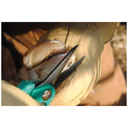 Burgon & Ball SuperSharp Professional Sheep Hoof Shears for Horses Livestock 7.5 Inch
