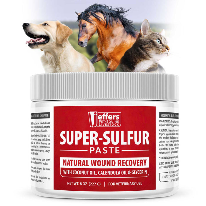 Cat Jeffers Super-sulfur Skin & Wound Healing Paste Pets, Horses, Livestock