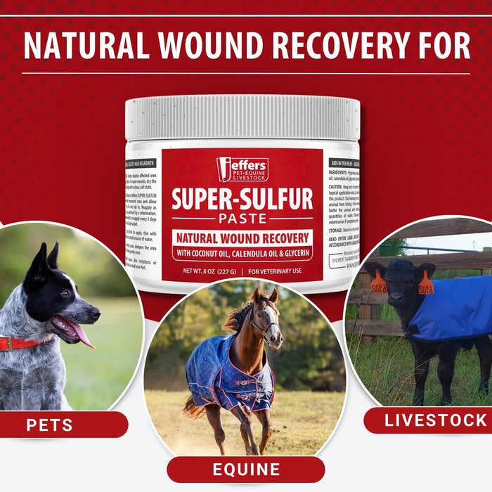 Cat Jeffers Super-sulfur Skin & Wound Healing Paste Pets, Horses, Livestock