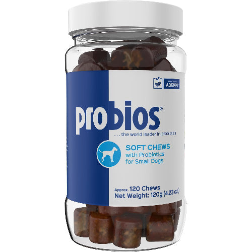 Chicken Dog Probios Daily Probiotic Supplement Small Dogs Flavor 120 Soft Chews