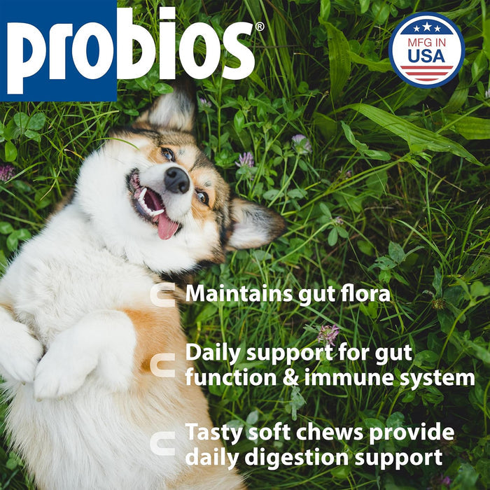Chicken Dog Probios Daily Probiotic Supplement Small Dogs Flavor 120 Soft Chews