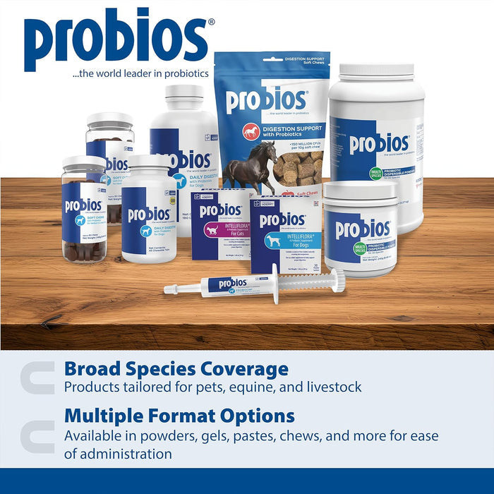 Chicken Dog Probios Daily Probiotic Supplement Small Dogs Flavor 120 Soft Chews