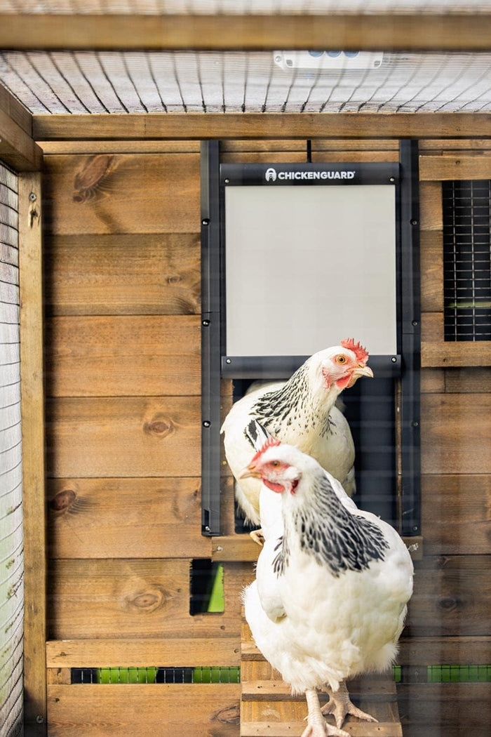 ChickenGuard Premium Automatic Coop Lifts Doors Up to 2lbs Self-Locking Kit, Door Included