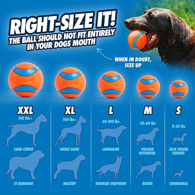 Chuckit! Ultra Ball Dog Toy 1 Pack Medium