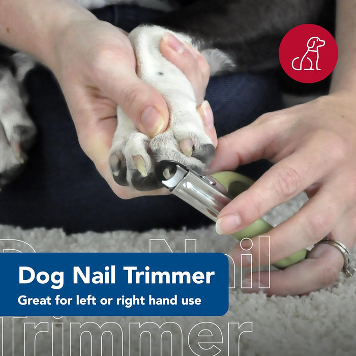 Coastal Safari Guillotine Dog Nail Trimmer Small Stainless Steel Clippers