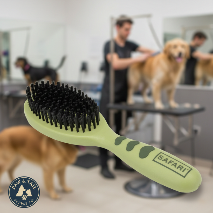 Coastal Safari Small Bristle Dog Brush 8in Pet Grooming Brush for Dogs & Cats