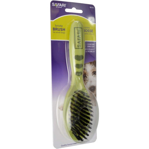 Coastal Safari Small Bristle Dog Brush 8in Pet Grooming Brush for Dogs & Cats