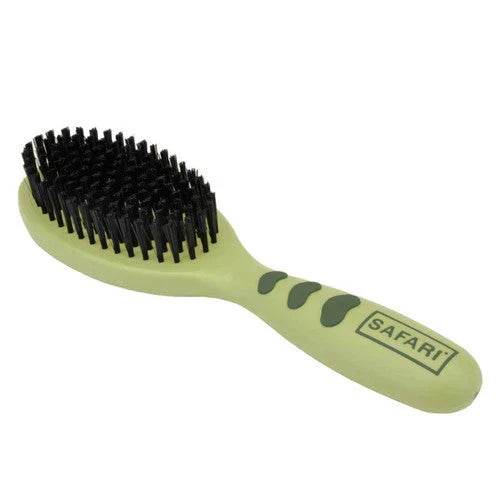 Coastal Safari Small Bristle Dog Brush 8in Pet Grooming Brush for Dogs & Cats