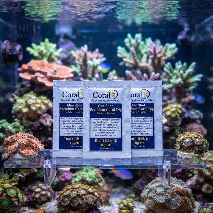 CoralRX One Shot Coral Dip Aquarium Coral Cleaner 1 mL 3-Pack