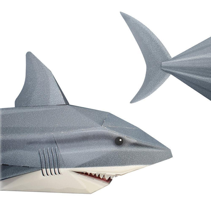 Create Your Own Snappy Shark.