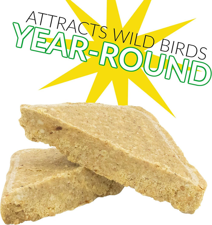 C&S Berry Suet Treat Bird Cake 11.75 oz & Large Suet Basket Feeder Combo