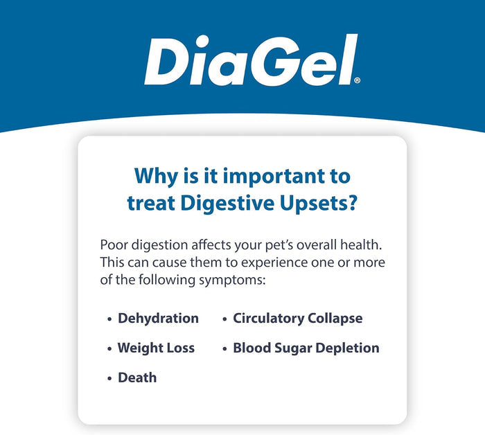 DiaGel Diarrhea Control Gel 1 ml Small Dogs Digestive Upset Loose Stool Relief 2-Pack