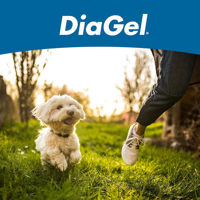 DiaGel Diarrhea Control Gel 1 ml Small Dogs Digestive Upset Loose Stool Relief 2-Pack