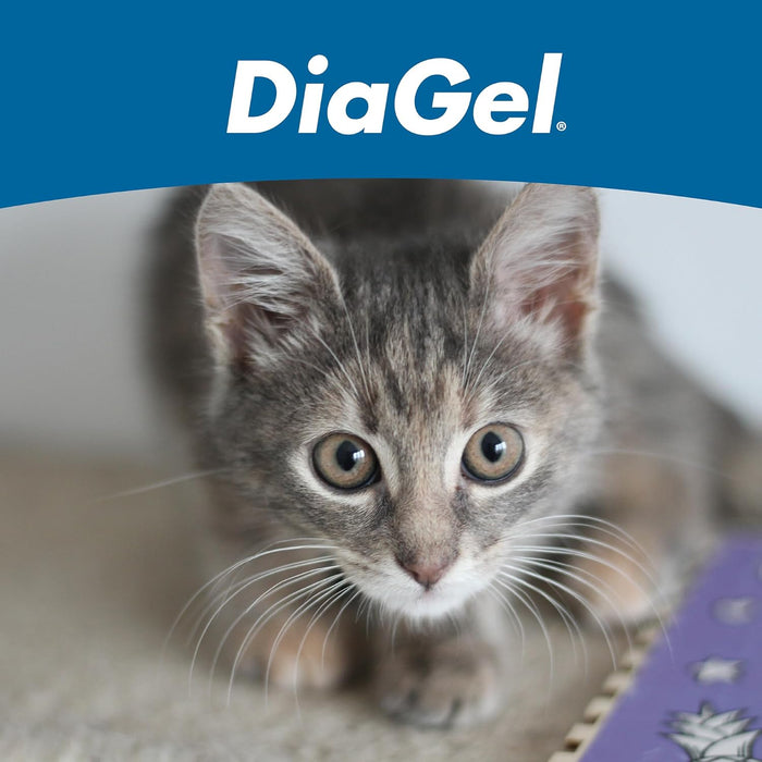 DiaGel for Cats 1 ml Oral Gel Loose Stools Digestive Upset Natural Support 2PCK