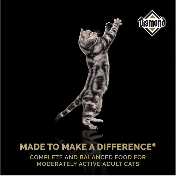 Diamond Maintenance Adult Cat Dry Food 30/15 Formula 6 lb Bag