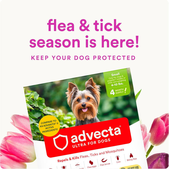 Dog Advecta Ultra Flea Tick Small Dogs 4 Month Supply Waterproof Topical Fast Acting