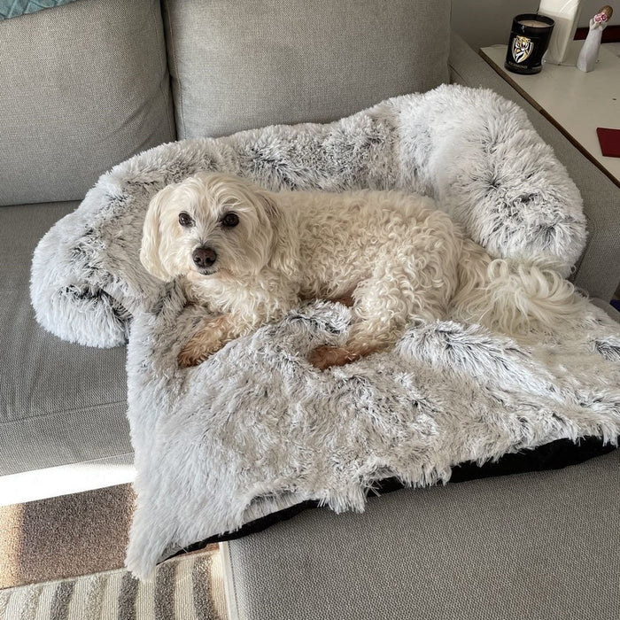 Dog Bed