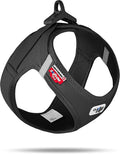 Dog Curli Air Mesh Clasp Black Vest Harness