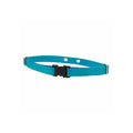 Dog Lupine Pet 2 Hole Adjustable Nylon Replacement Dog Collar Strap