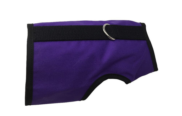Purple / Extra Small