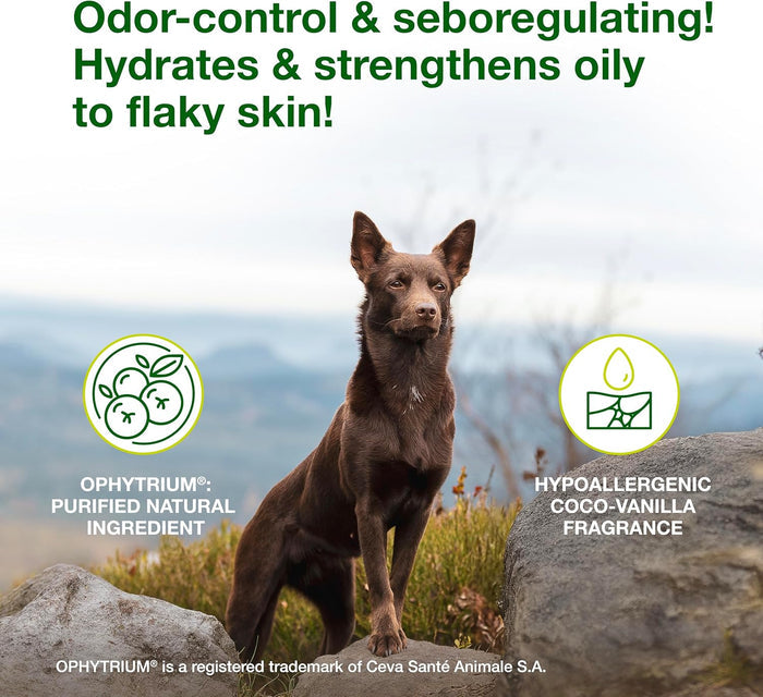 Douxo S3 SEB Mousse for Dogs & Cats Skin Coat Care 5.1 oz. 3-Pack