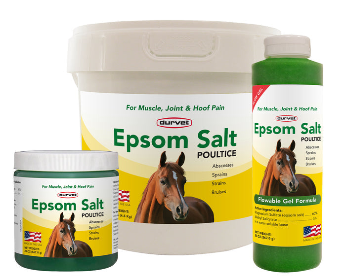 Durvet Epsom Salt Poultice Gel for Horses 20 oz. Muscle & Joint Support Equine Formula