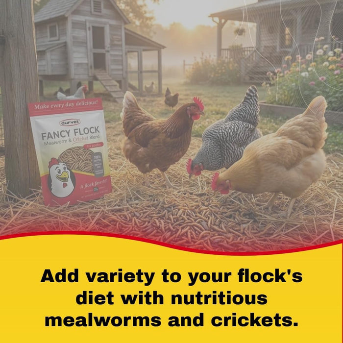 Durvet Fancy Flock Mealworm & Cricket Bird Treats High Protein Treats 16 oz. 2-Pack