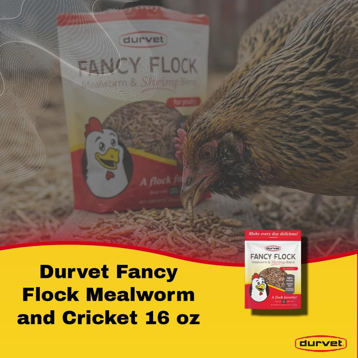Durvet Fancy Flock Mealworm & Cricket Bird Treats High Protein Treats 16 oz. 2-Pack