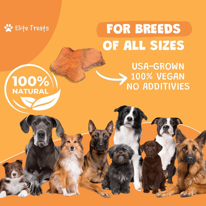 Elite Treats Sweet Potato Grain-Free Dog Treats 6 oz. 2-Pack